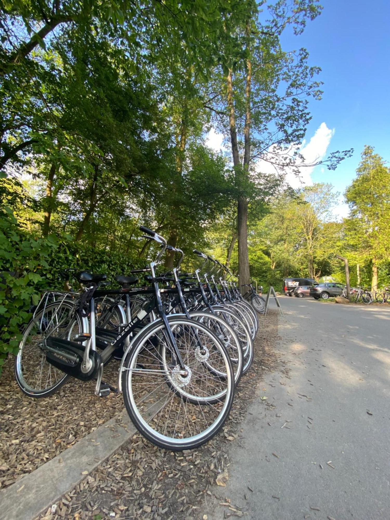 Vliegenbos Campsite Amsterdam